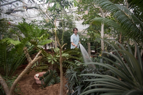 Greenhouse grower Paul Cooper in the newly reopened Liberty Hyde Bailey Conservatory. (Lindsay France/University Photography)