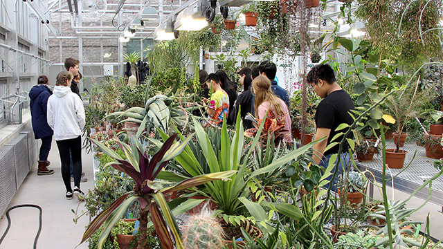 After the history lesson, IHS students explored the rest of the Liberty Hyde Bailey Conservatory collection.