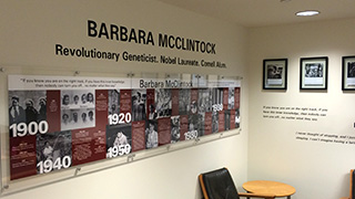 McClintock exhibit on the third floor of Mann Library