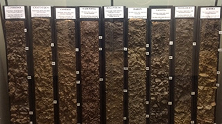 Explore soil diversity on the first floor of Bradfield Hall.