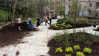 Urban Eden students installing landscape in Deans' Garden behind Warren Hall.