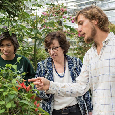 Patty Chan ’18 and Nicolas Glynos ’17 answer President Pollack's plant questions on tour of the Liberty Hyde Bailey Conservatory.